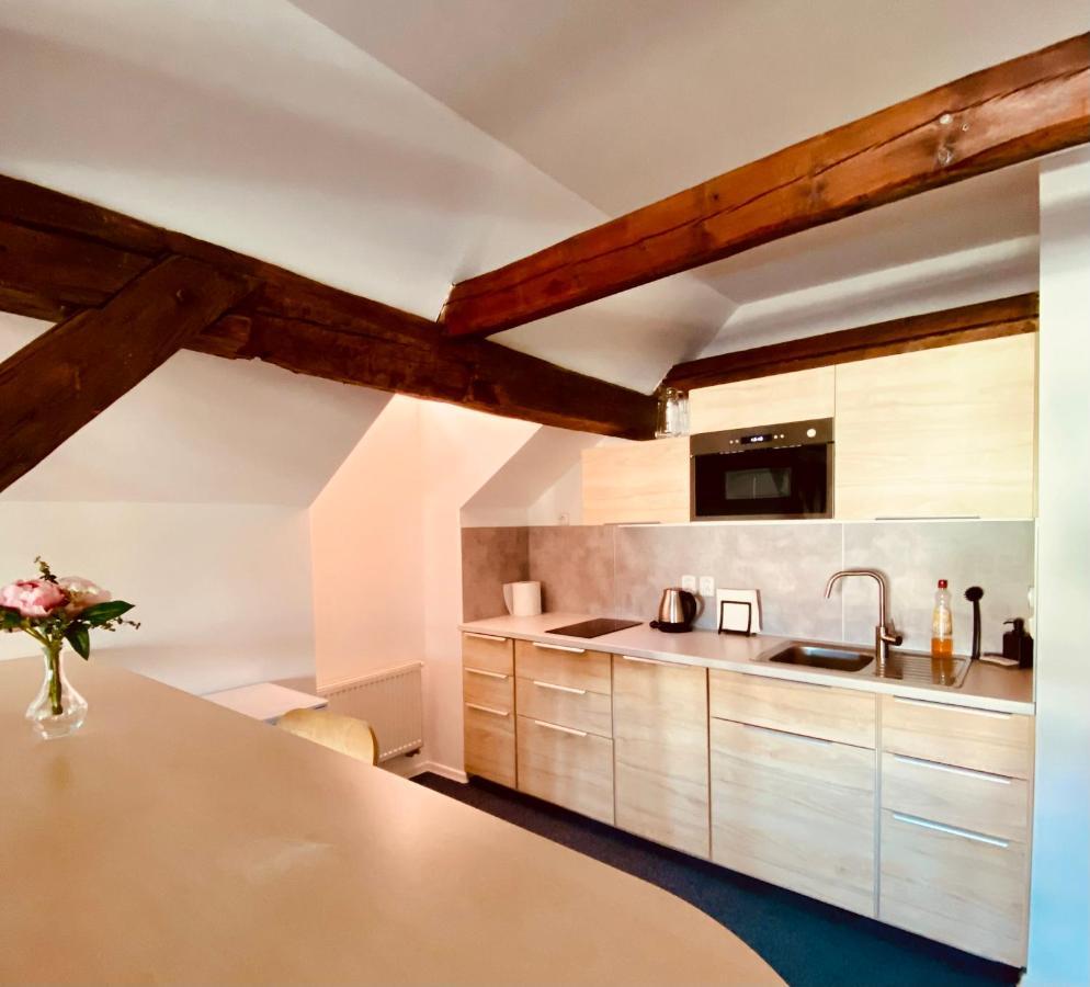 Apartmany Emma Česká Kamenice 外观 照片
